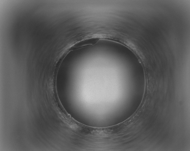 X0000068730297200605011006