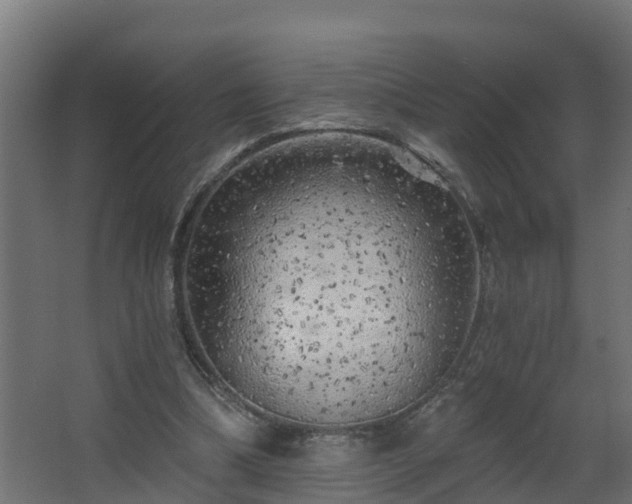 X0000068730298200605011006