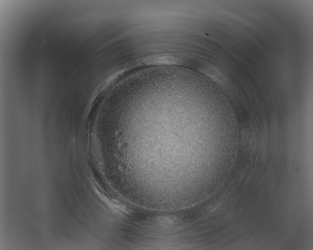 X0000068730302200605011006