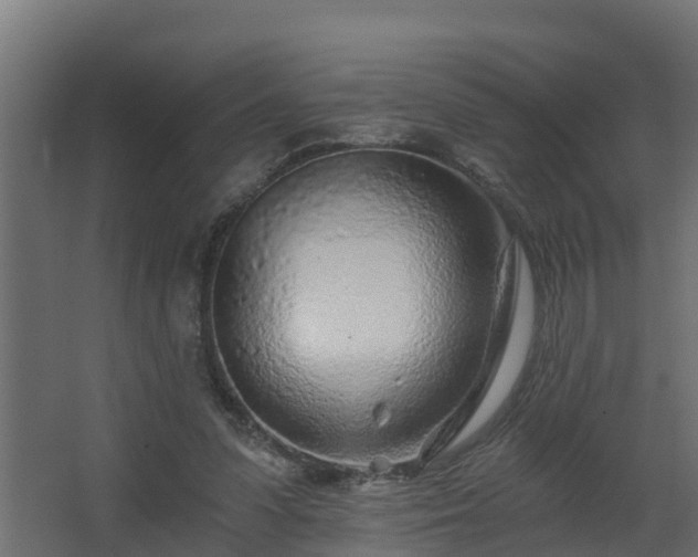 X0000068730303200605011006