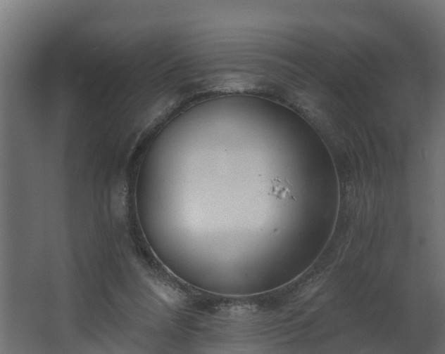 X0000068730304200605011006