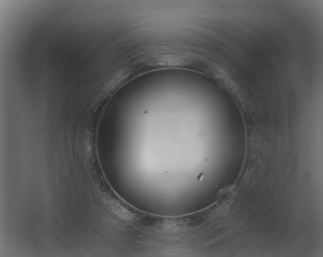 X0000068730305200605011006