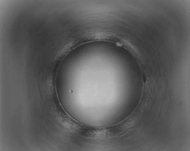 X0000068730306200605011006