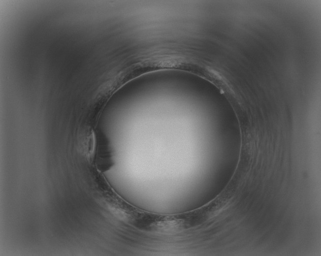 X0000068730307200605011006