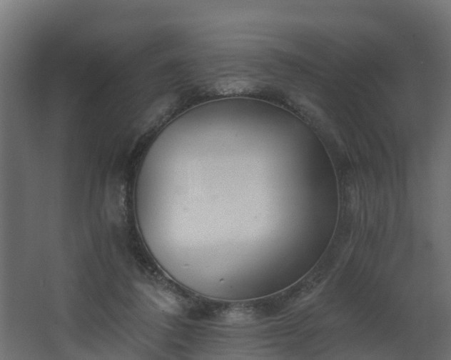 X0000068730308200605011006