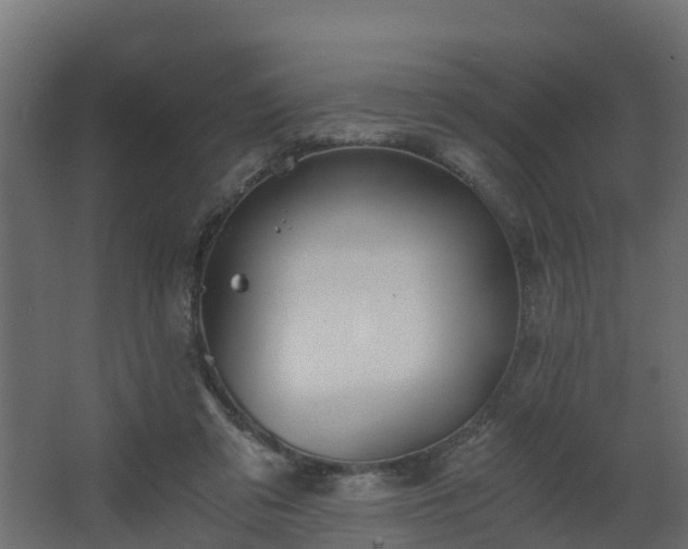 X0000068730309200605011006