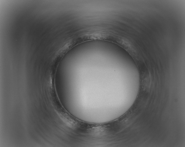 X0000068730310200605011006