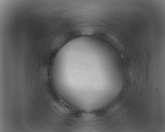 X0000068730311200605011006