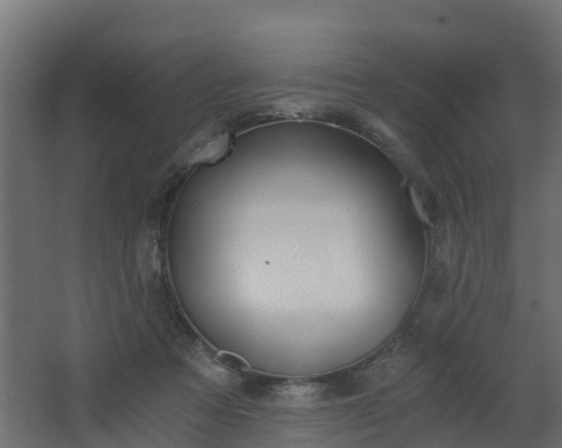 X0000068730313200605011006