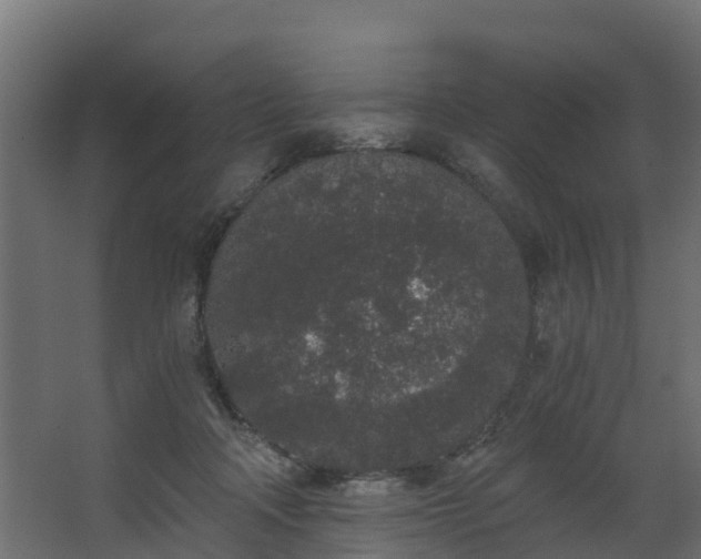 X0000068730314200605011006