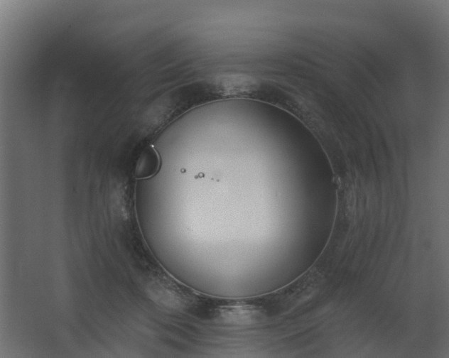 X0000068730316200605011006