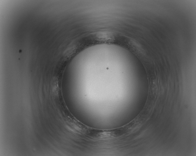 X0000068730320200605011006