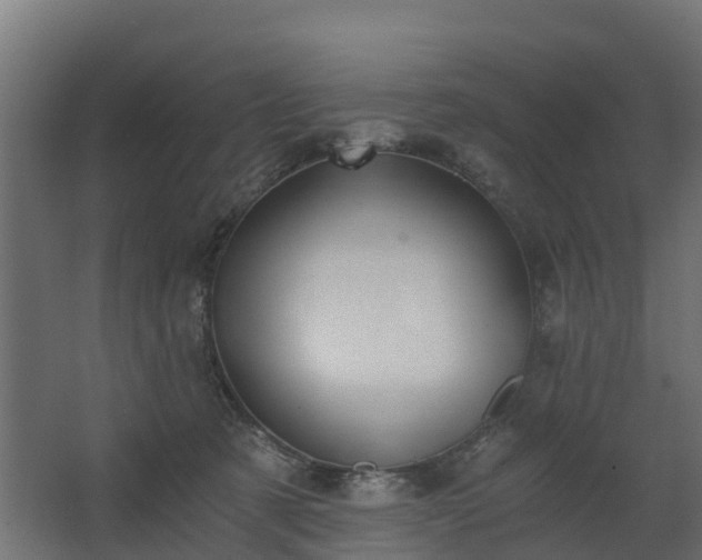 X0000068730321200605011006