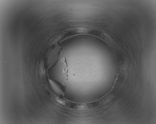 X0000068730325200605011006