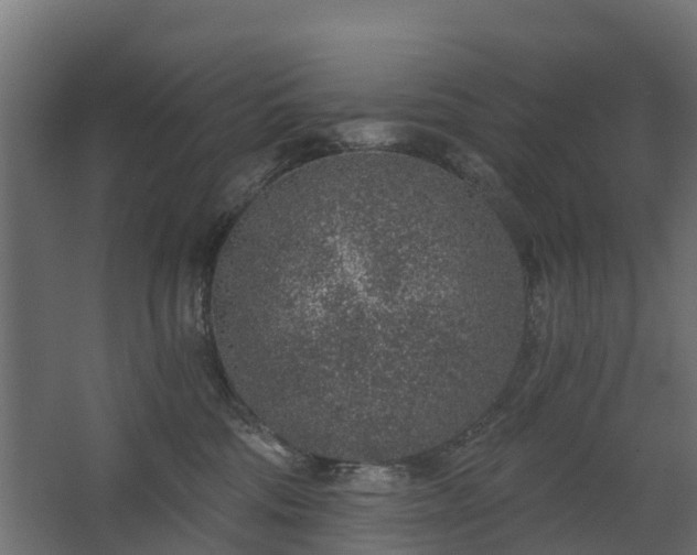 X0000068730330200605011006