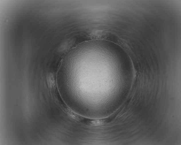 X0000068730335200605011006