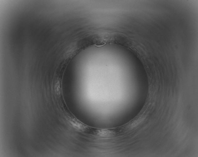 X0000068730336200605011006