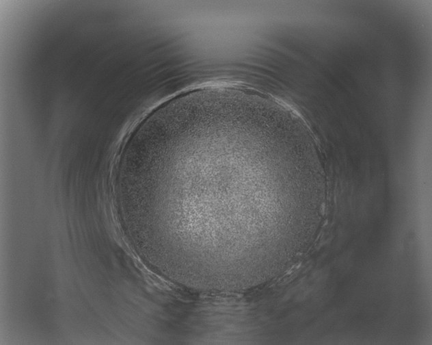 X0000068730337200605011005