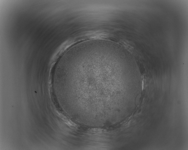 X0000068730339200605011005