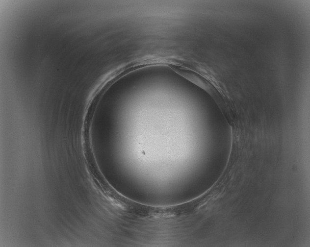 X0000068730340200605011005