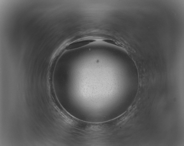 X0000068730341200605011005