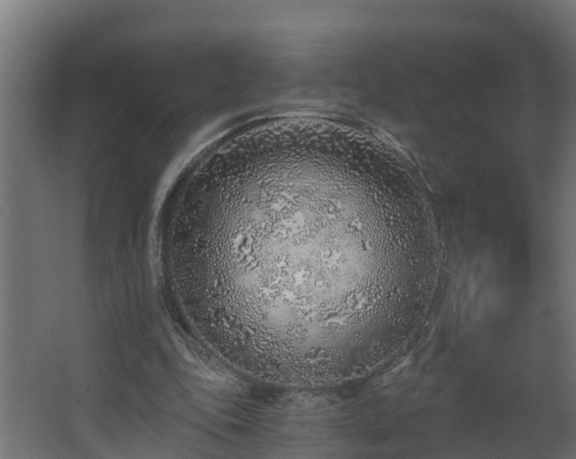 X0000068730343200605011005