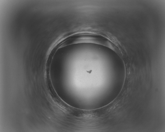 X0000068730344200605011005