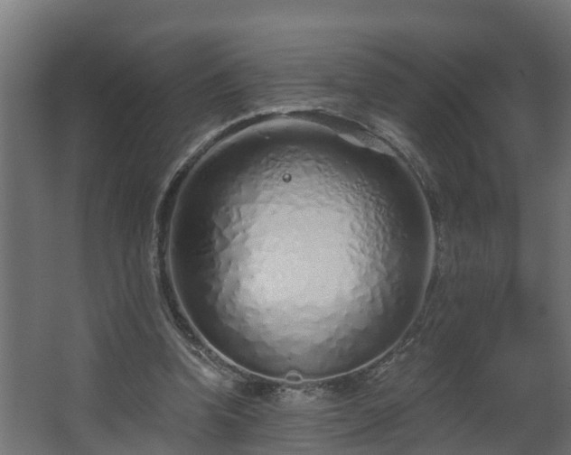 X0000068730346200605011005