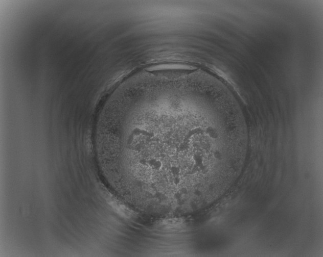 X0000068730353200605011005