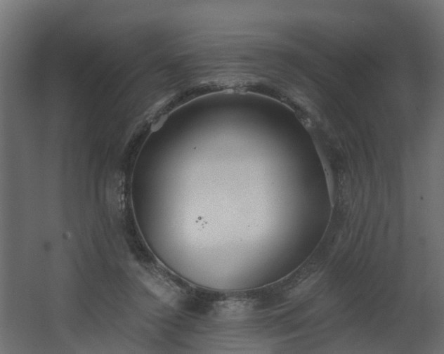 X0000068730356200605011005