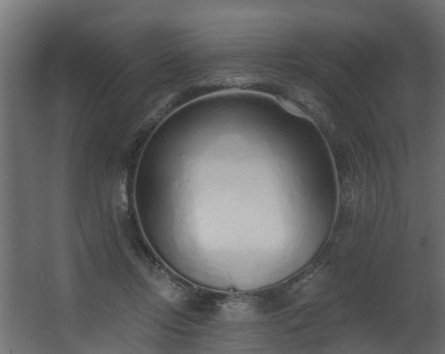 X0000068730358200605011005