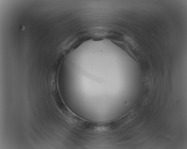 X0000068730360200605011005