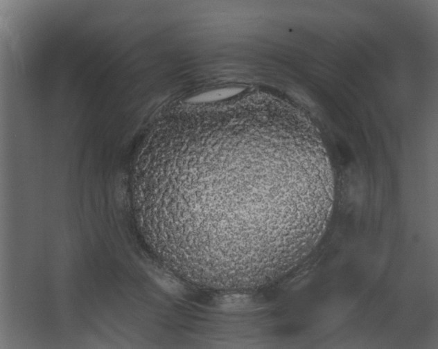 X0000068730361200605011005