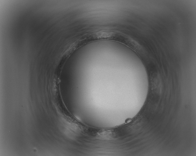 X0000068730362200605011005