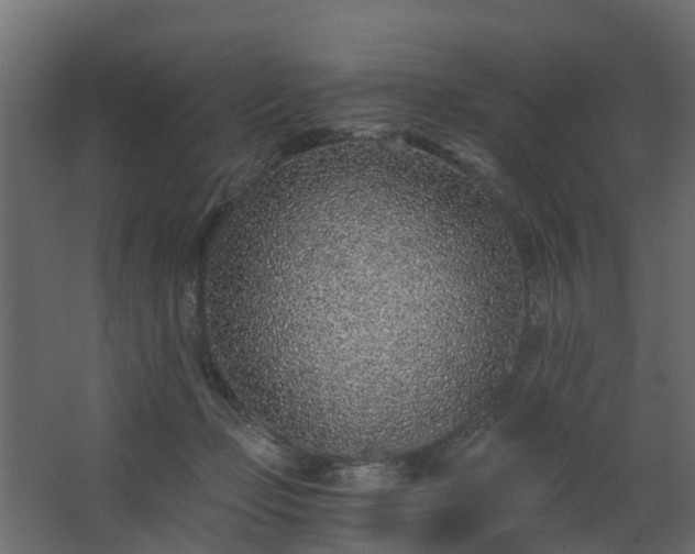 X0000068730365200605011005