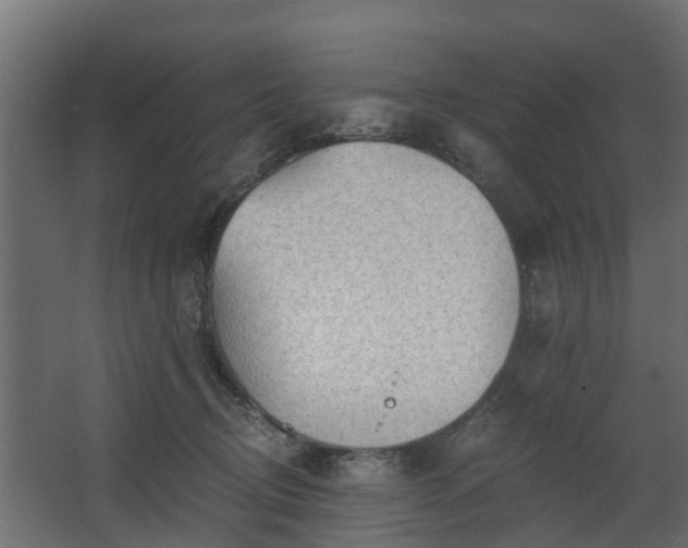 X0000068730370200605011005