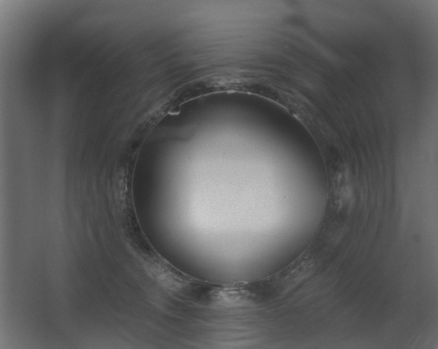 X0000068730372200605011005