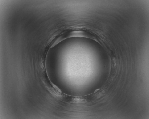 X0000068730380200605011005