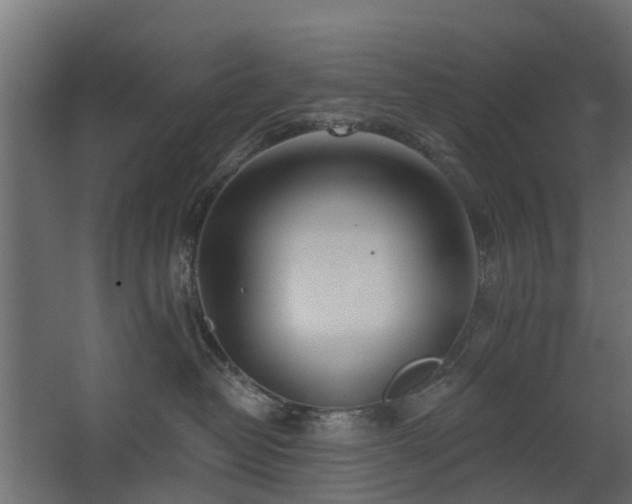 X0000068730382200605011005