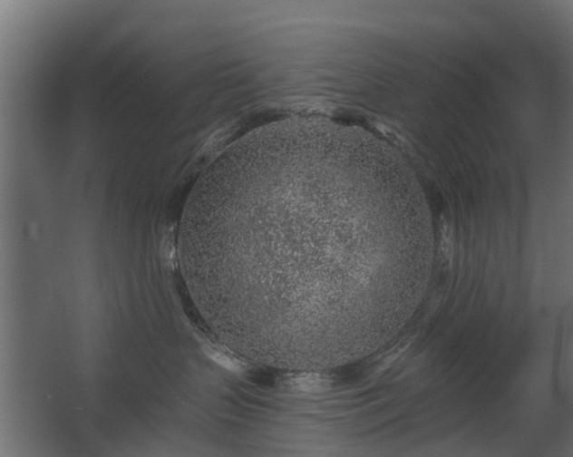 X0000068730383200605011006