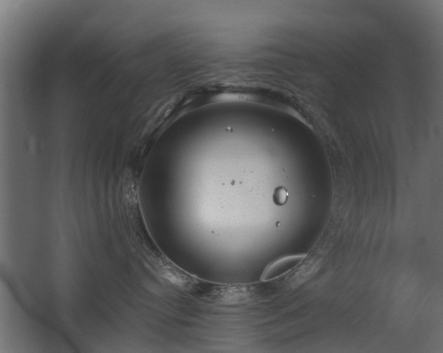 X0000068730384200605011006