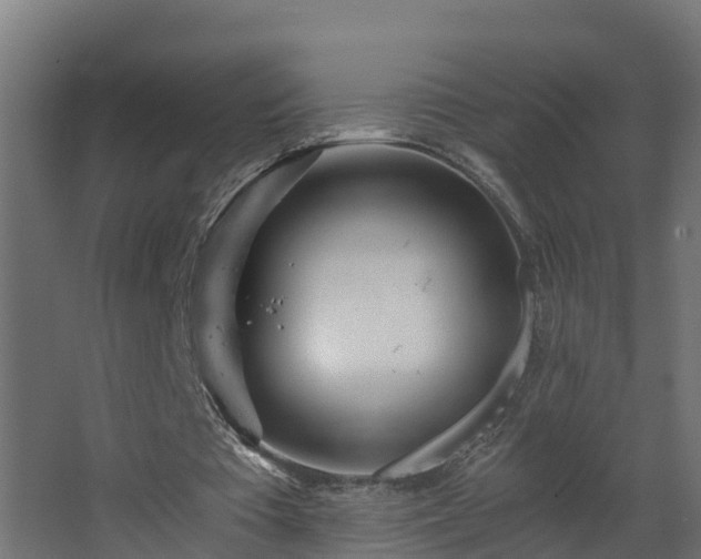 X0000068730385200605011005