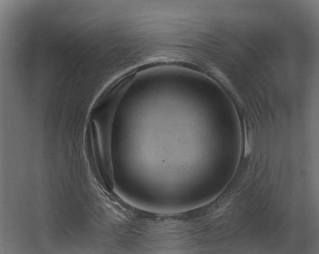 X0000068730387200605011005