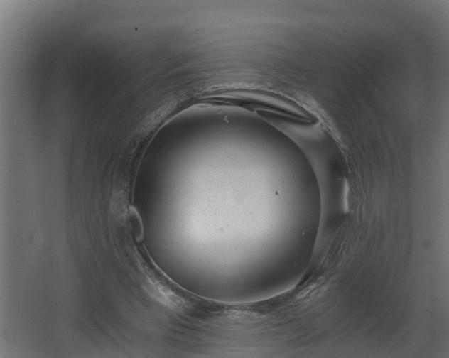 X0000068730393200605011005