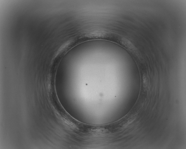 X0000068730396200605011005