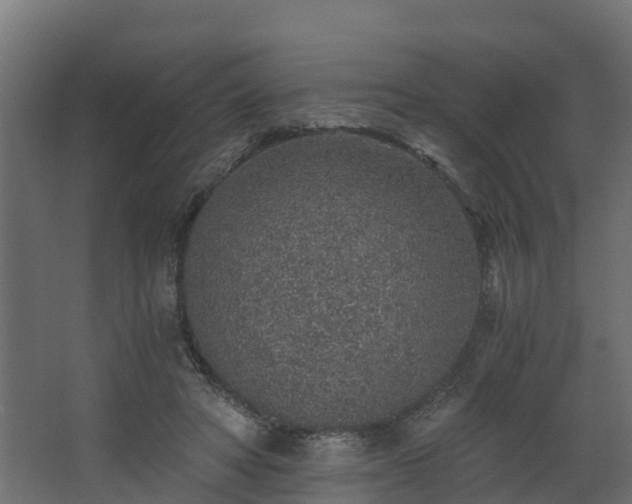 X0000068730402200605011004