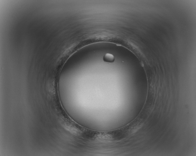 X0000068730403200605011004