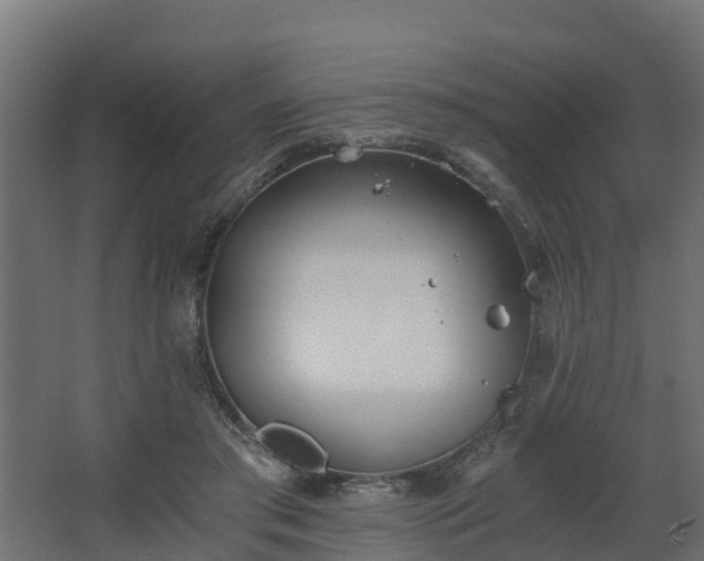 X0000068730405200605011004