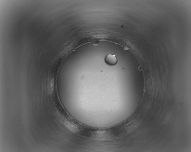 X0000068730406200605011004