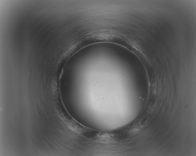 X0000068730407200605011004